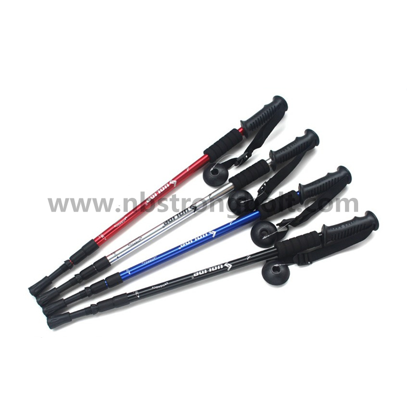 Popular trekking poles