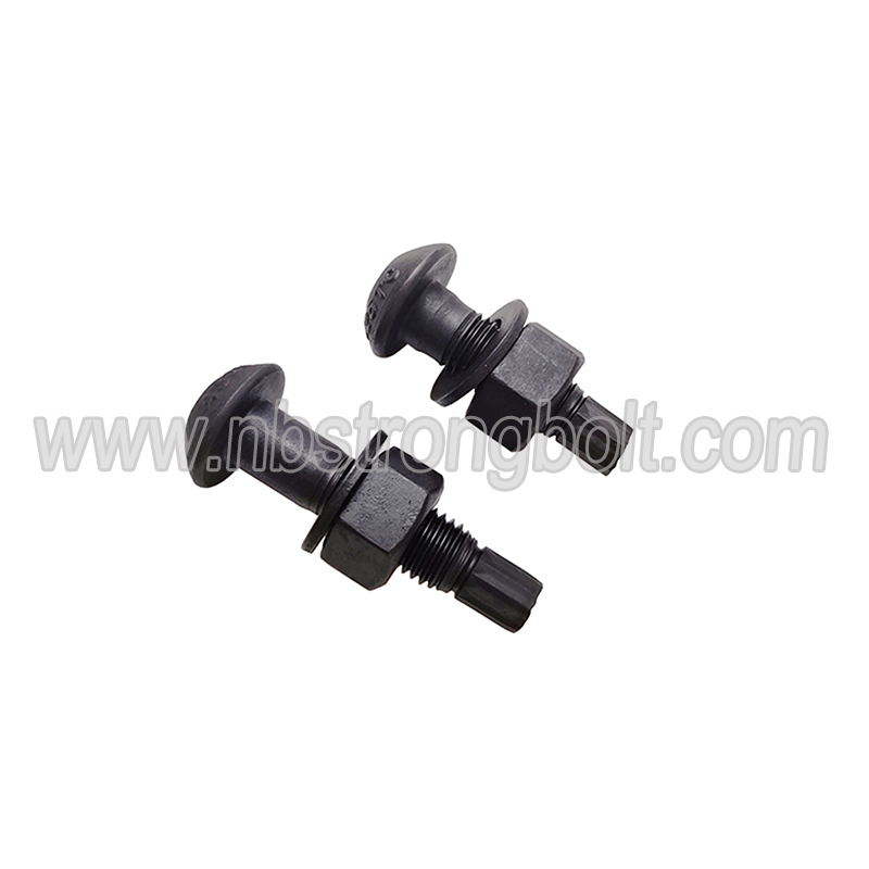 ASTM F1852 A325tc Tension Control Bolt with Nut and