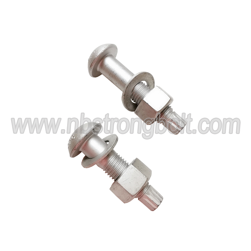 ASTM F1852 A325tc Tension Control Bolt with Nut and