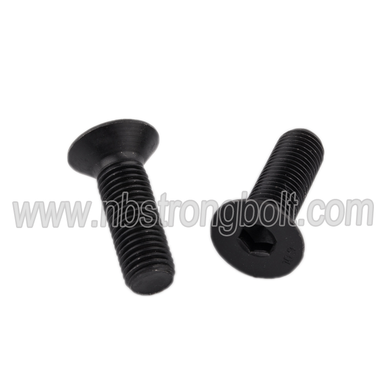Hex Socket Flat Head Cap Screw with Black