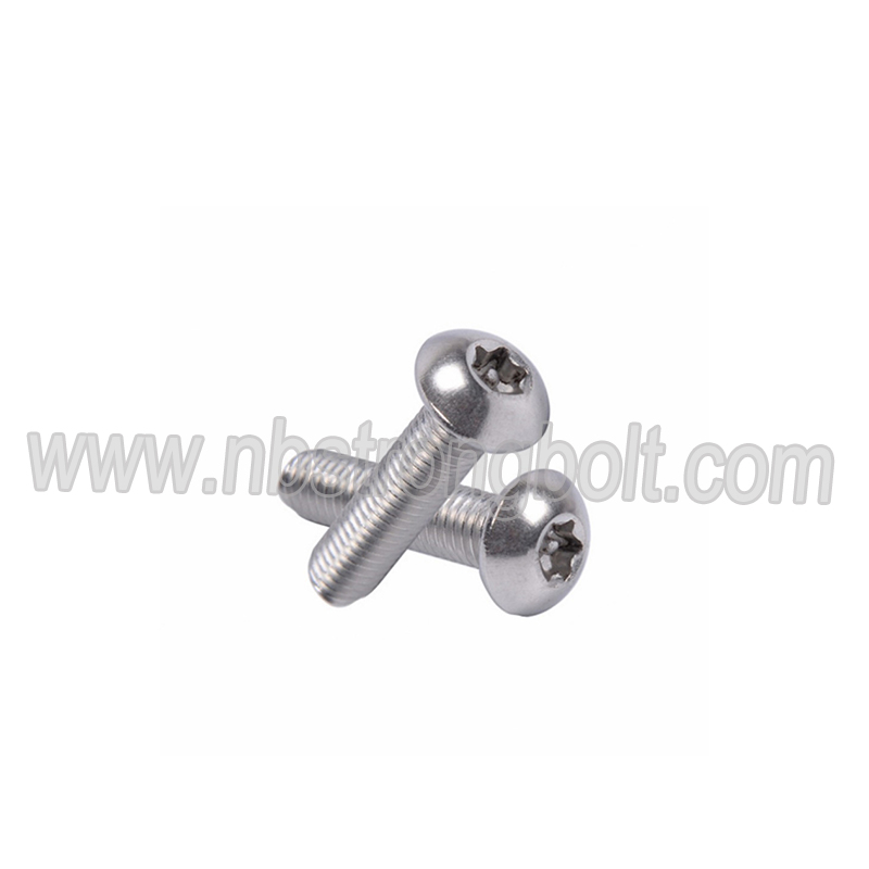 Torx Pan Head Anti Theft Machine Screw