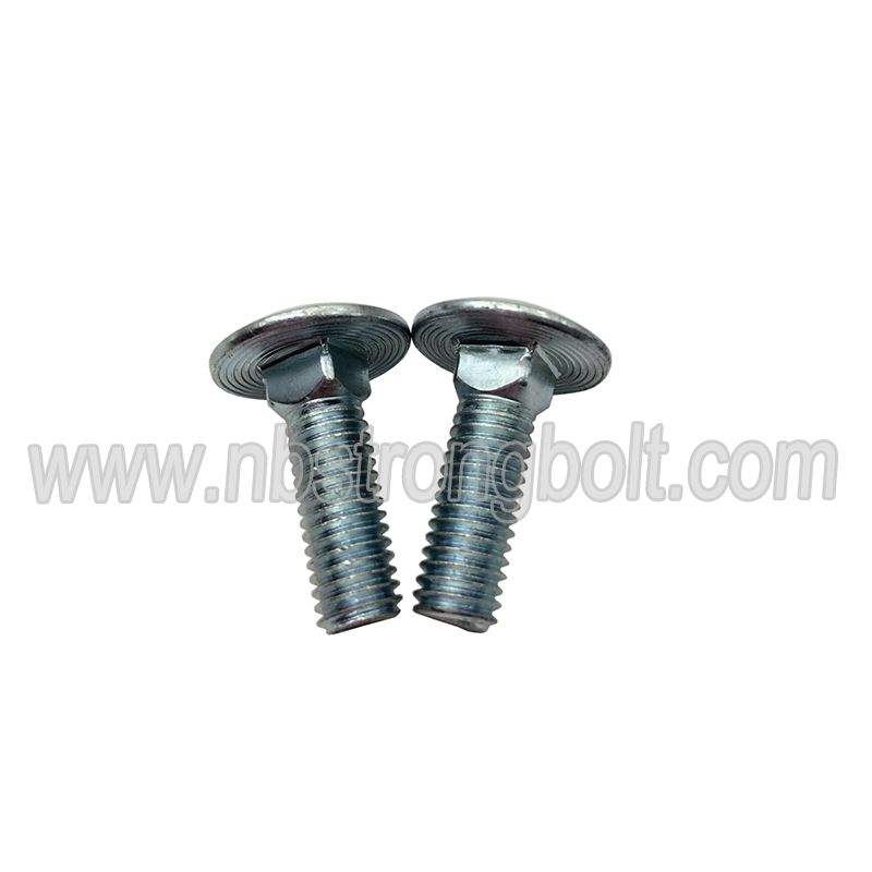 Mushroom Head Square Neck Bolt with Zp