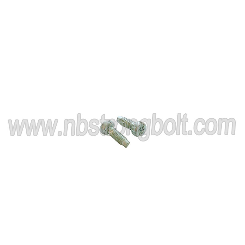 Machine Screws for Electrical Devices with Zp