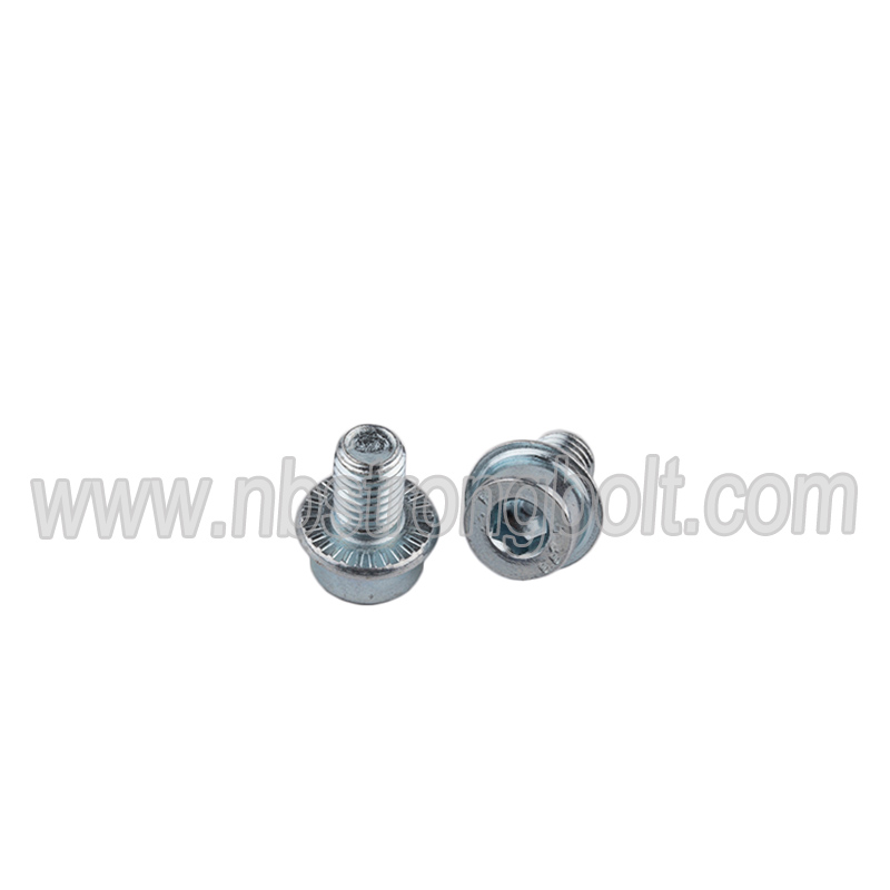 Hex Socket Flange Screw with Zinc